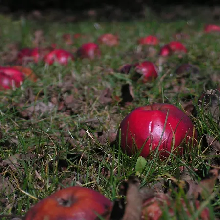 Stara Skola Tatil Evi