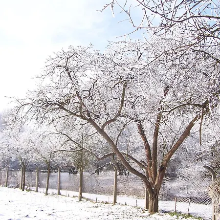 Stara Skola * Kosariska